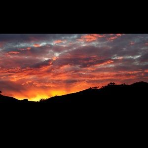 Meet your Posher, Destiny